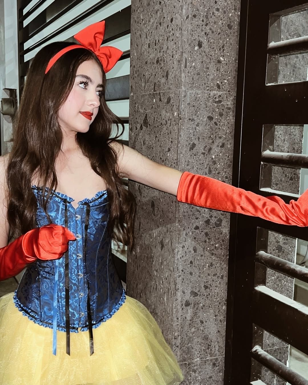 Corset victoriano