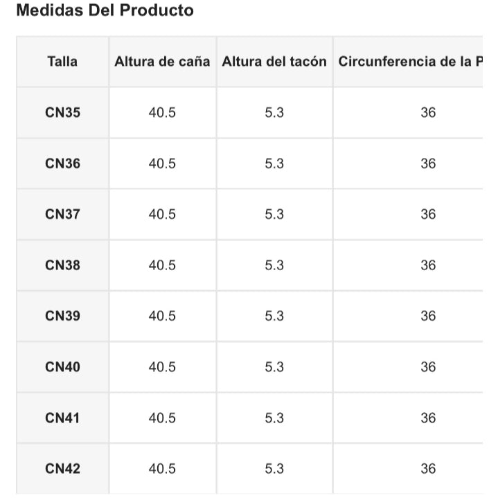 Botas negras elegantes, estilo clásico con punta cuadrada y tacón grueso