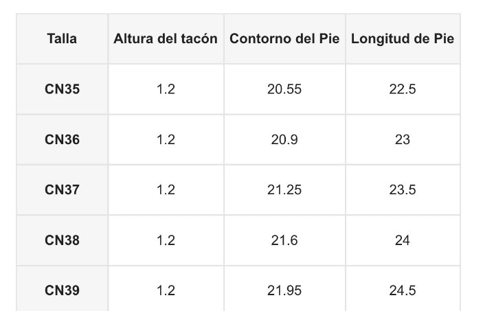 Mocasines planos y puntiagudos
